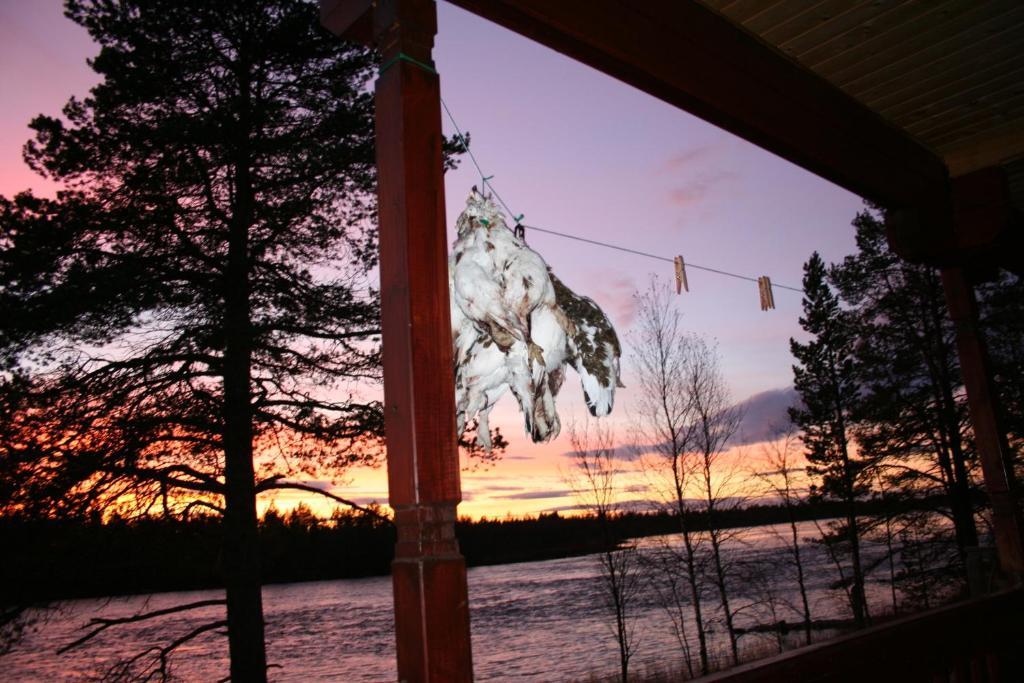 Luongasloma Chalets Palojoensuu Habitación foto